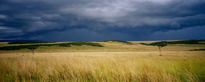 Storm, Masai Mara 0023