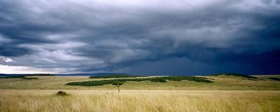Storm, Masai Mara 0024