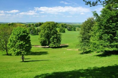 Charborough Park 0053