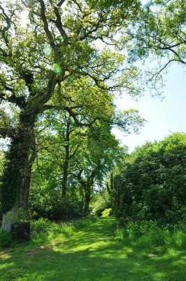 Charborough Park 0059