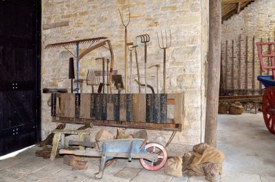 Tyneham 0298