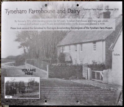 Tyneham 0658