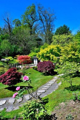 Kingston Lacy 4746