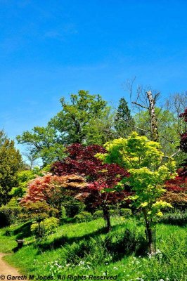 Kingston Lacy 4754