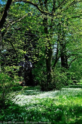 Kingston Lacy 4759