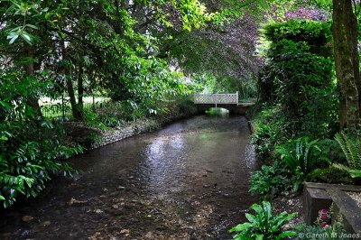 g9/36/1116236/3/156217907.ubnEkxn2.jpg