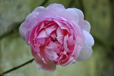 g9/36/1116236/3/156217939.6Cf9mGSH.jpg
