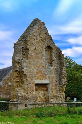 Abbey Ruins, Abbotsbury 3889