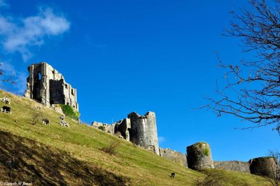 Corfe Castle 4378