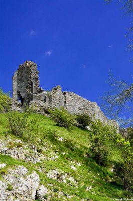 Corfe Castle 1548