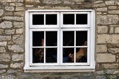 Corfe Castle Village 2536