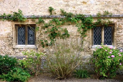 Laycock Abbey 0436