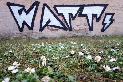 21.12.2015