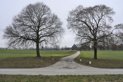 Trees in autumn