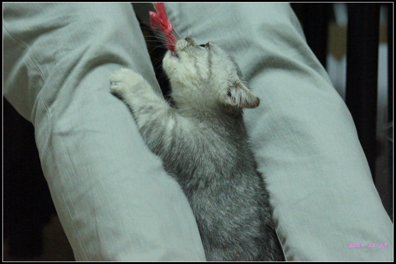 DSC04581.jpg