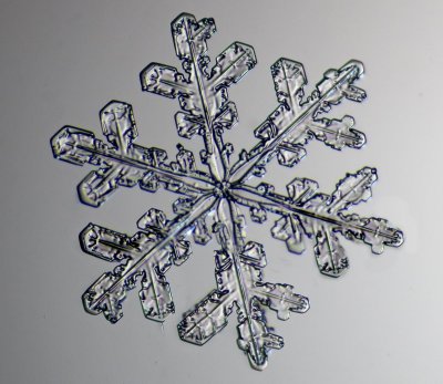 Snow Crystals