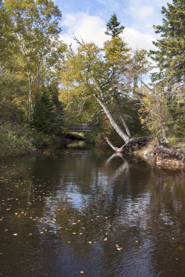 Kadunce River