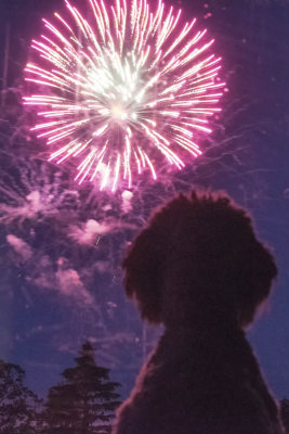 4th of July