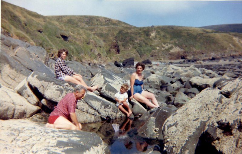 EPSON981_Copy.jpg