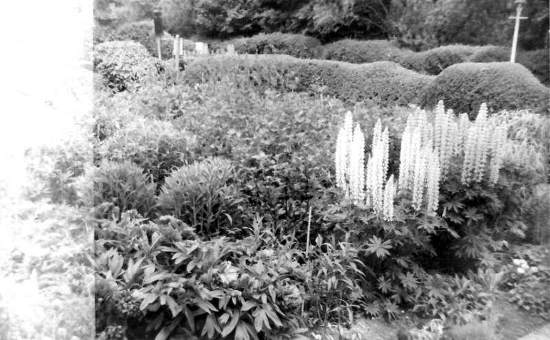 EPSON006_Copy.jpg