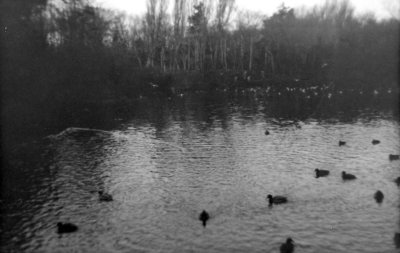 EPSON031_Copy.jpg