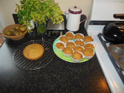 Making Cranberry Pumpkin Muffins with Chrissy