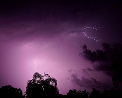 Ground-to-Cloud Lightning - SW FL