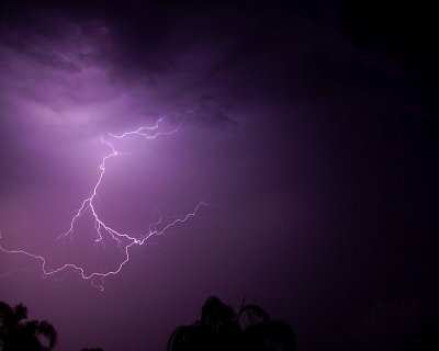 Lightning - SW FL