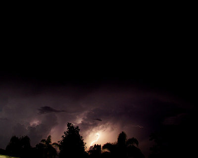 Lightning - SW FL