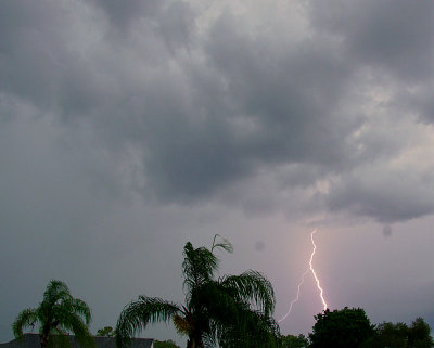 Cloud to Ground Lightning - SW FL