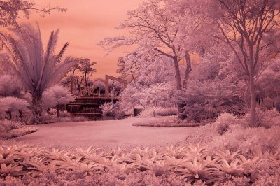 First Infrared ever taken