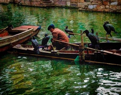 China-7.jpg
