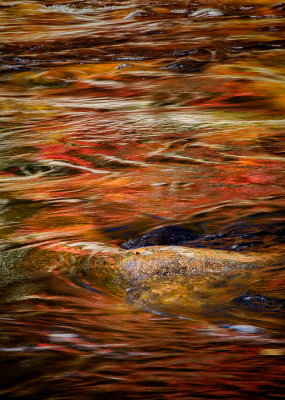 Fall Reflections-8