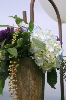 IMG_0972cc.JPG