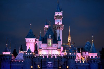 D4B_8669DisneylandCastle1.jpg