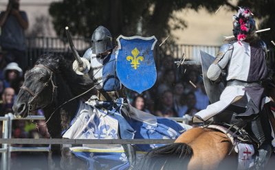 D4D_7268RenFairJoustCropB1.jpg