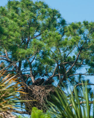 Werner-Boyce State Park-4.jpg