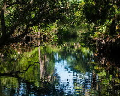 Werner-Boyce State Park-5.jpg