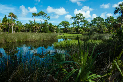 Werner-Boyce State Park-7.jpg