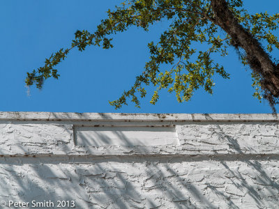 Micanopy