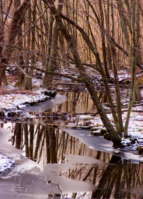 Caratunk Brook, MA