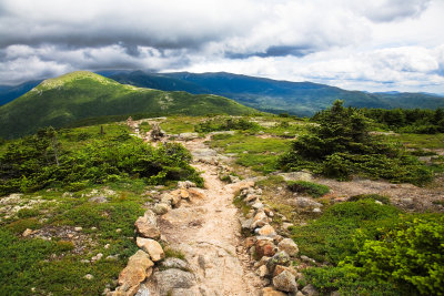 Crawford Path, NH         