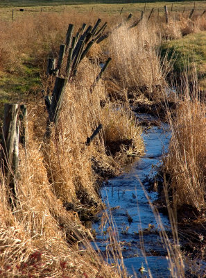 pasture stream, MA