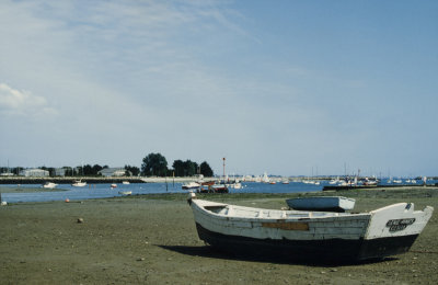 P1064517.jpg