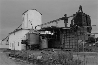 P1064515s.jpg