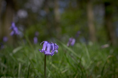 20130507-IMG_6178pb.jpg