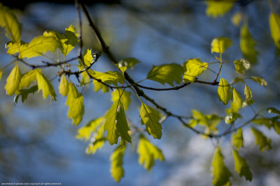 20130525-YJ3R4369l.jpg