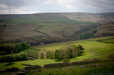 20130527-YJ3R5187-2pb.jpg