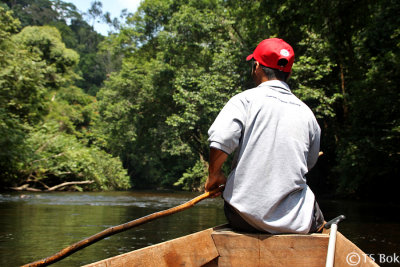 Pahang National Park