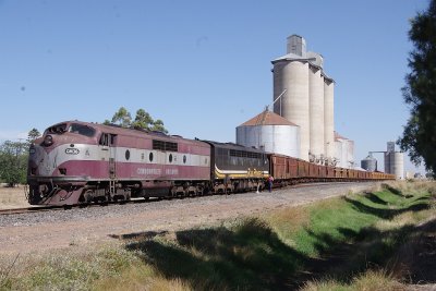 hop86.jpg